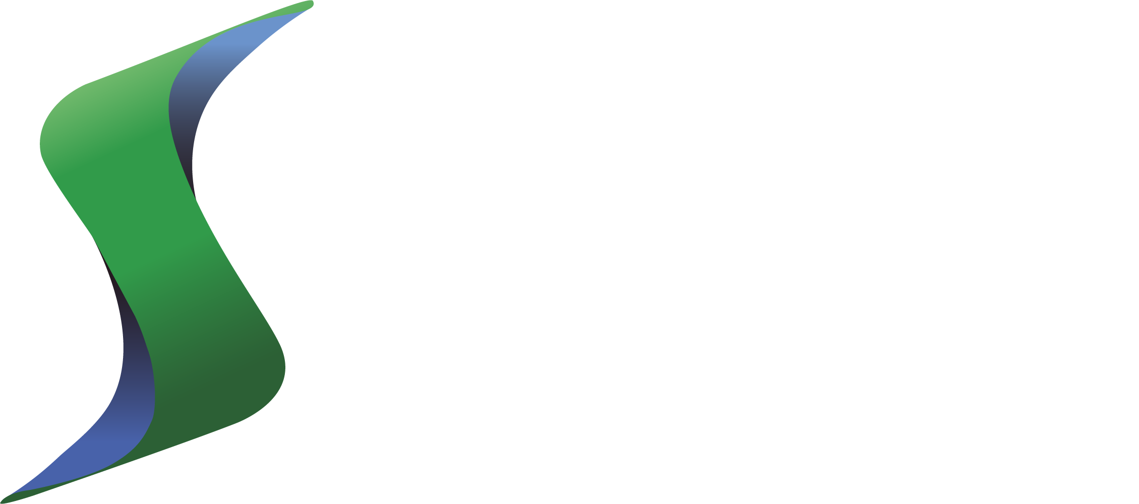Sentinus Logo